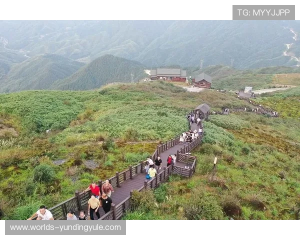 云顶高原简介:云顶高原的自然环境与人文景观,探索其成为旅游胜地的原因
